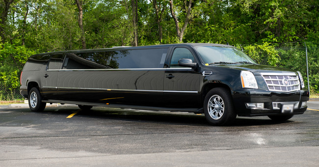 Princeton 20 Passenger Limo